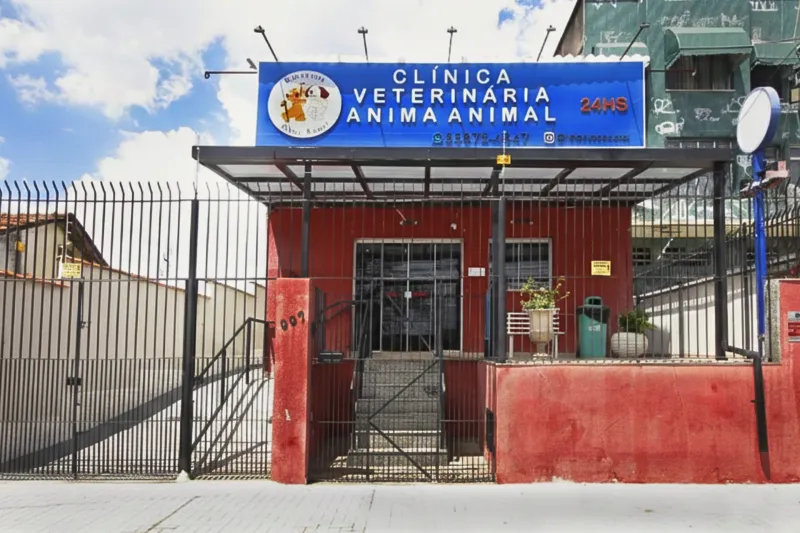 Estrutura da Anima Animal