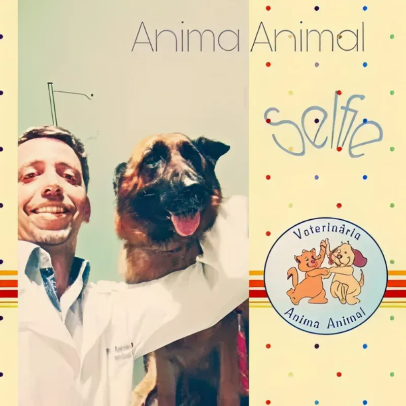 Ilustração da Anima Animal